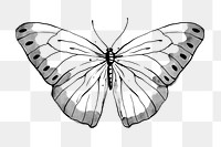 Ink butterfly png sticker, line art design element