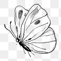 Ink butterfly png sticker, line art design element