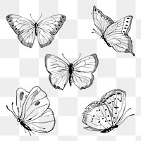 Ink butterfly png sticker, line art design element