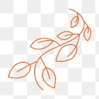 Minimal leaf png sticker, botanical collage element