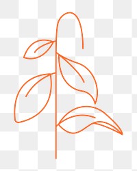 Minimal leaf png sticker, botanical collage element