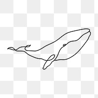 Whale png logo element, line art animal illustration