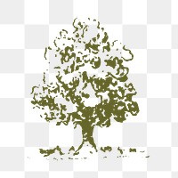 Vintage tree sticker png, botanical icon illustration in green