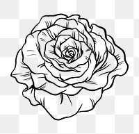 Vintage rose flower png tattoo art, black botanical sticker