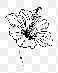 Hibiscus flower png tattoo art, black vintage botanical cut out