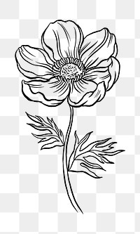 Anemone png flower collage element, black botanical clipart