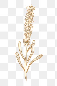 Lavender png flower collage element, brown botanical clipart