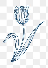 Tulip flower png transparent, brown vintage botanical cut out