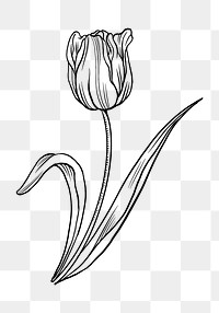 Tulip flower png tattoo art transparent, brown vintage botanical cut out