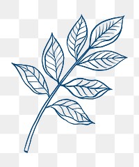 Blue leaf png clipart, vintage botanical illustration