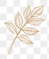 Brown leaf png clipart, vintage botanical illustration