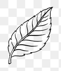 Rose’s leaf png tattoo art, black vintage nature sticker