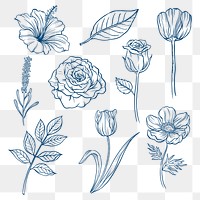 Vintage flower png clipart, blue botanical illustration collection