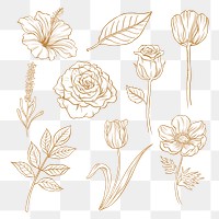 Vintage flower png clipart, brown botanical illustration collection