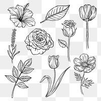Vintage flower png clipart, black botanical illustration collection