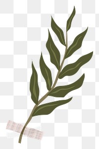 Aesthetic leaf png collage element, botanical illustration