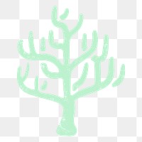 Coral reef png collage element, pastel green marine sticker on transparent background