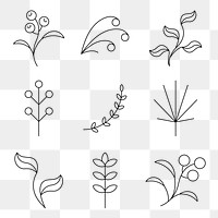 Leaf flower element png, simple botanical graphic design collection