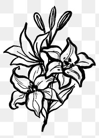 Flower png collage element, black lilies line art, simple illustration transparent background