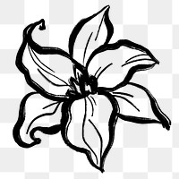 Botanical png collage element, black flower line art, simple illustration transparent background