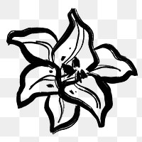 Lily png collage sticker, simple line drawing on transparent background