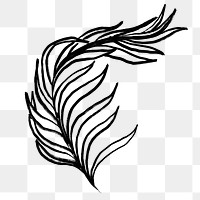 Botanical png collage element, black fern drawing, simple illustration transparent background