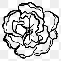 Rosel png collage element, black flower line art, simple illustration transparent background