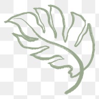 Green leaf png sticker, simple Monstera collage element on transparent background