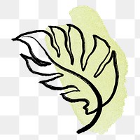 Leaf png sticker, black Monstera line art on green brushstroke design, transparent background