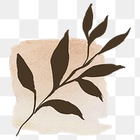 Leaf png collage sticker, natural pastel line art on transparent background