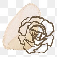 Rose png line art, golden watercolor brushstroke design on transparent background