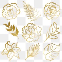 Gold botanical png stickers, aesthetic line art, simple illustration on transparent background set
