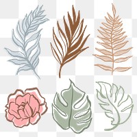 Watercolor leaf png line art, abstract botanical illustration, transparent background set