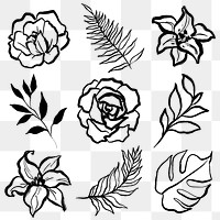 Black botanical png collage elements, flowers and plants line art, minimal illustration on transparent background set