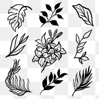 Black leaf png stickers, floral and plants line drawing, minimal illustration on transparent background set