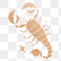 Scorpio png zodiac animal illustration, transparent background