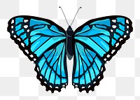 Blue Morpho butterfly png sticker, watercolor illustration