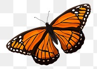 Monarch butterfly png sticker, orange watercolor illustration