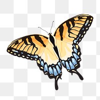 Yellow butterfly png sticker, watercolor illustration, Two-Tailed Swallowtail