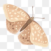 Beige butterfly png sticker, watercolor collage element,  transparent background