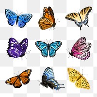 Butterfly types png sticker, watercolor illustration set