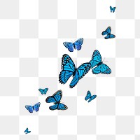 Blue butterfly png border, watercolor collage element, transparent background