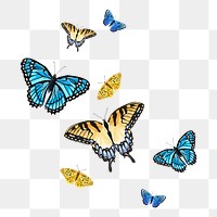 Beautiful butterflies png sticker, watercolor collage element, transparent background