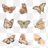 Earth tone butterfly png stickers, watercolor collage element set