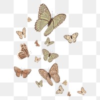 Aesthetic butterfly png border, watercolor collage element,  transparent background