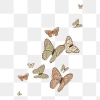 Aesthetic butterfly png border, watercolor collage element,  transparent background