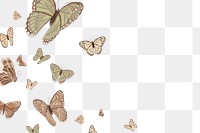 Png butterfly border transparent background