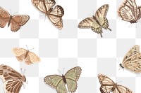 Butterfly pattern png, transparent background