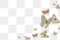 Png butterfly border transparent background