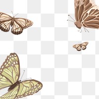 Butterfly png border frame, aesthetic design transparent background